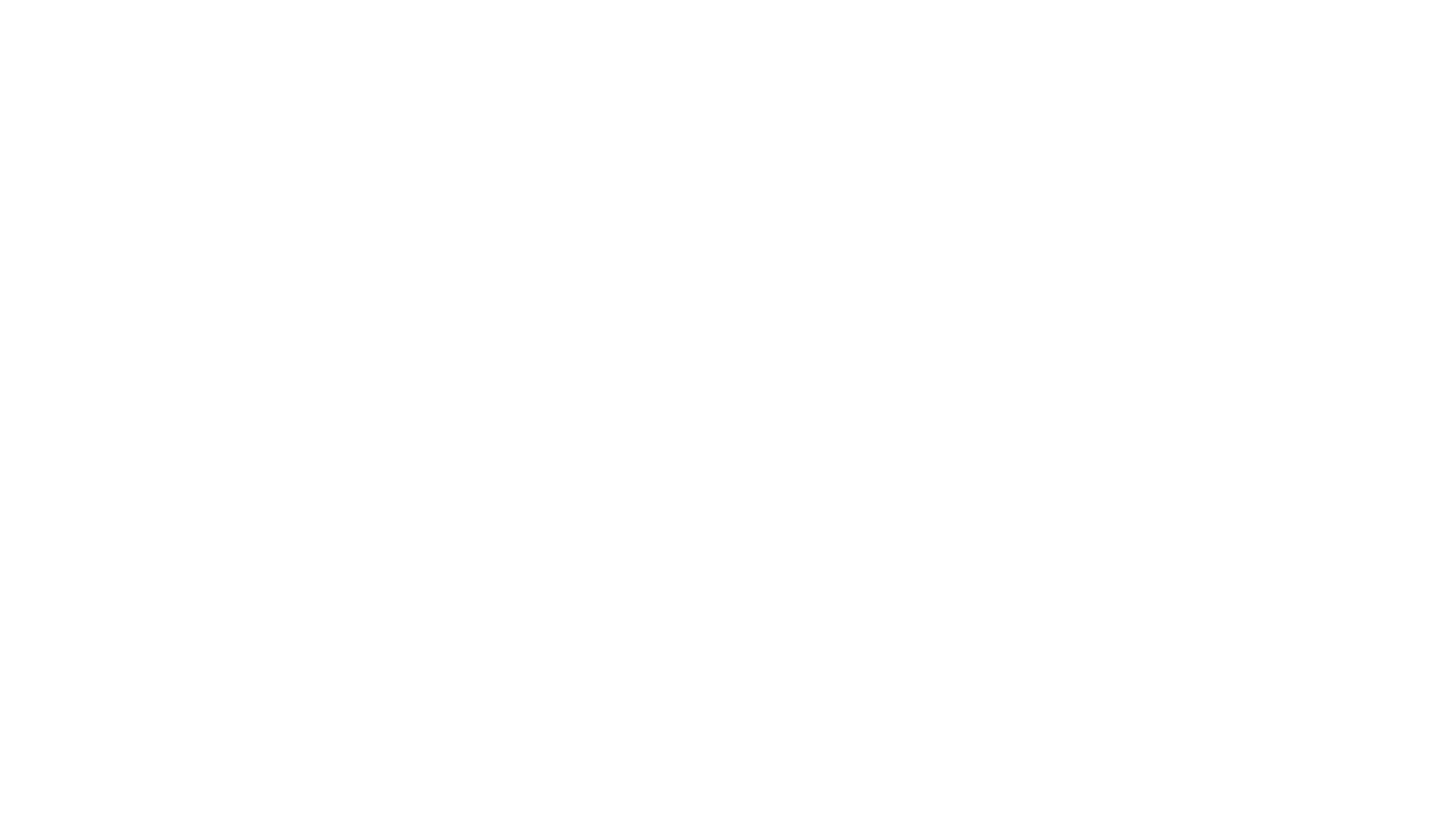 Carneshop Logo