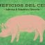 beneficios carne de cerdo